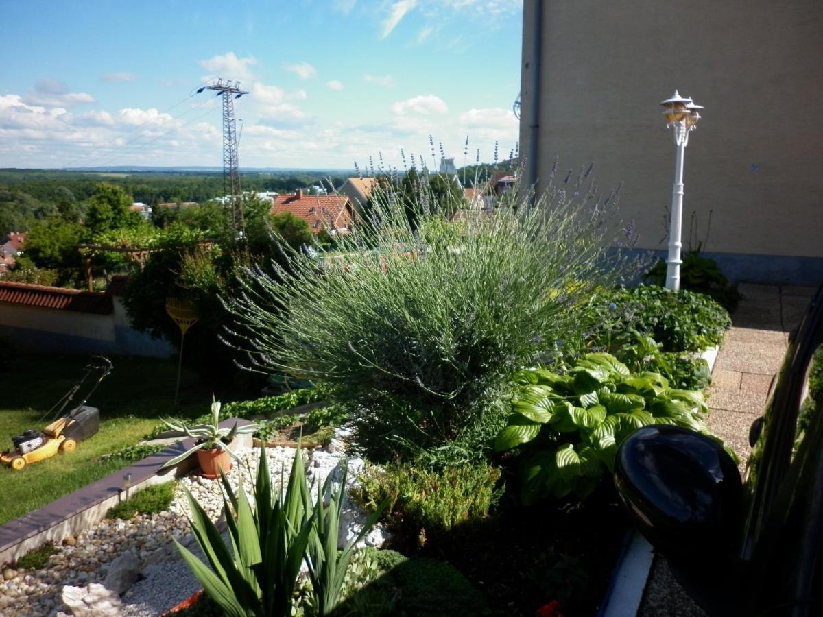 Appartement Manor *